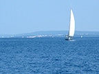 Jadran